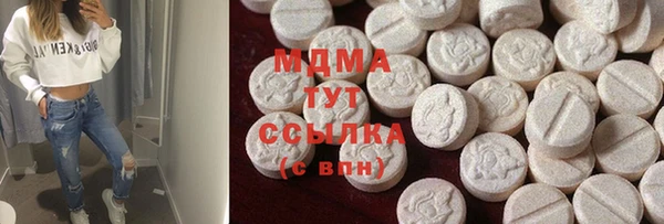 прущие грибы Галич
