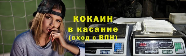прущий лед Каменка