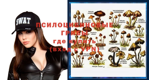герыч Каменногорск