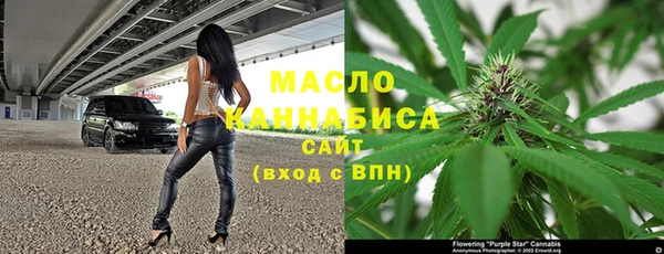 прущий лед Каменка