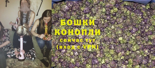 прущие грибы Галич