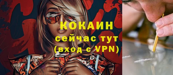 индика Гвардейск