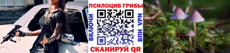 гидра как зайти  Кукмор  Псилоцибиновые грибы Psilocybe 